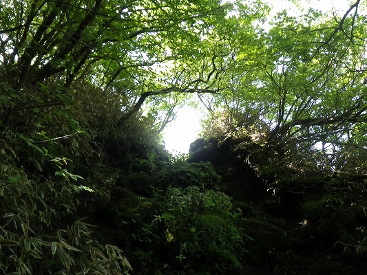 f0187402_20332926.jpg