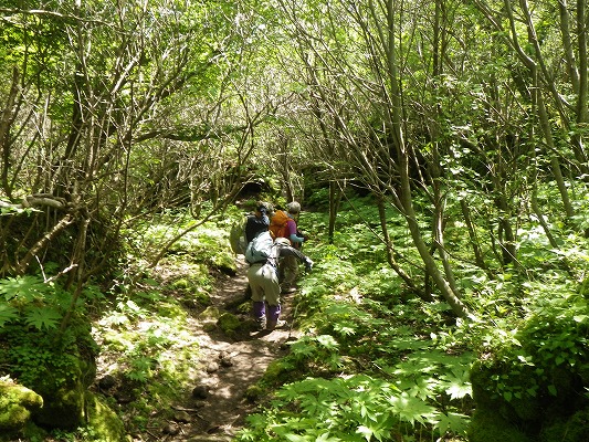f0187402_20334112.jpg