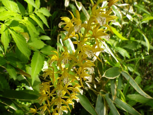 f0187402_2033695.jpg