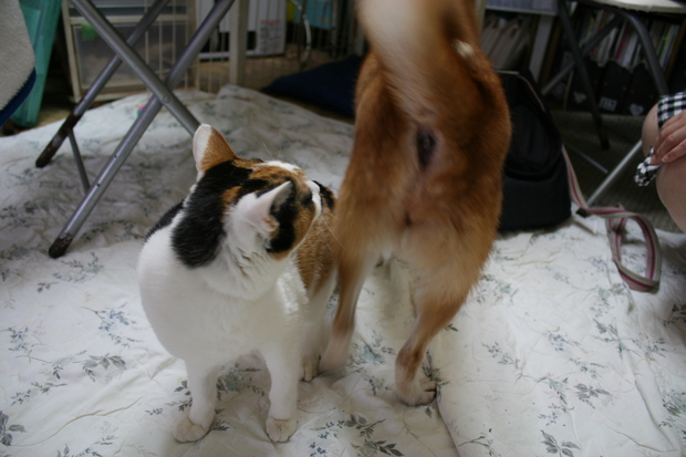BEEじいさん姫ばあさん 新生活スタート!_f0242002_2121553.jpg