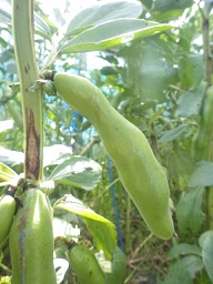 c0280206_5511450.jpg