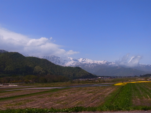 d0251807_18224331.jpg