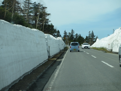 d0224712_81921.jpg