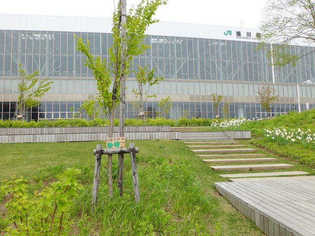 e0336214_15213950.jpg