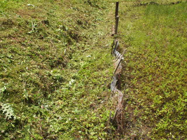 田んぼ　初仕事で　マムシに遭遇_f0329418_22473697.jpg