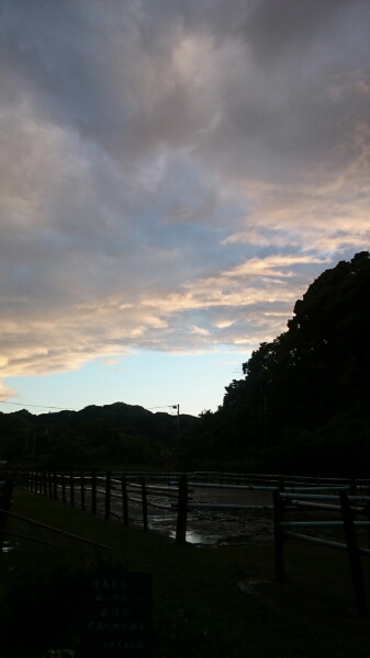 b0187620_2105536.jpg