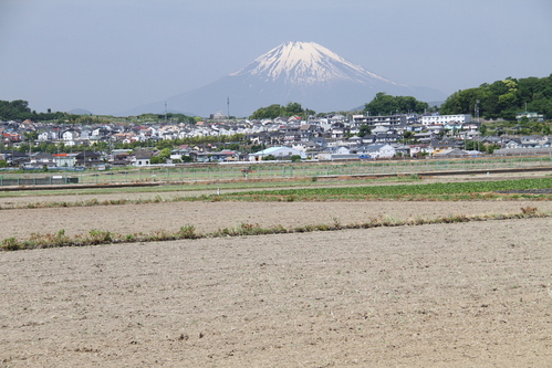 d0240223_1736865.jpg