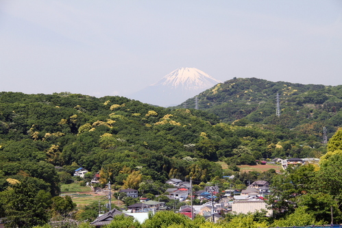 d0240223_616039.jpg