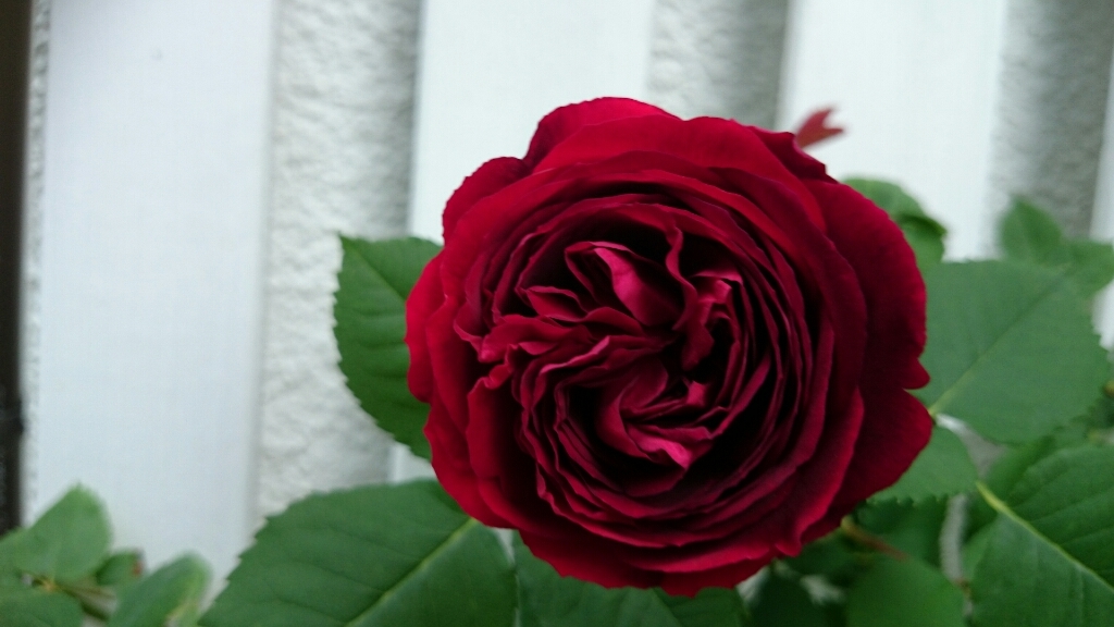 e0263224_13570176.jpg