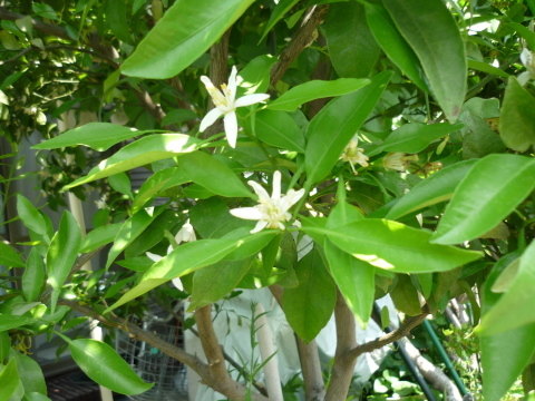 c0117525_21320697.jpg