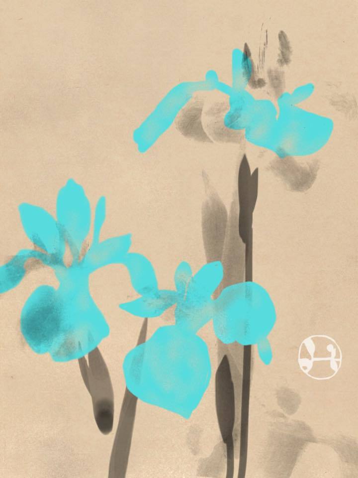 洒落た菖蒲_a0197730_16483249.jpg