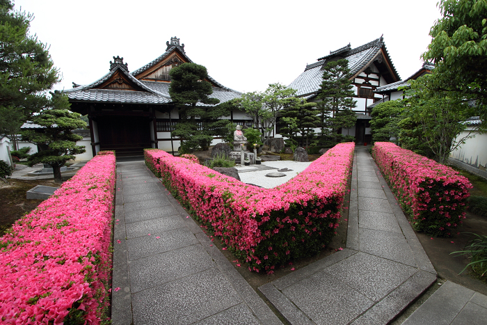 初夏の妙心寺 －慈雲院－_b0169330_23515416.jpg