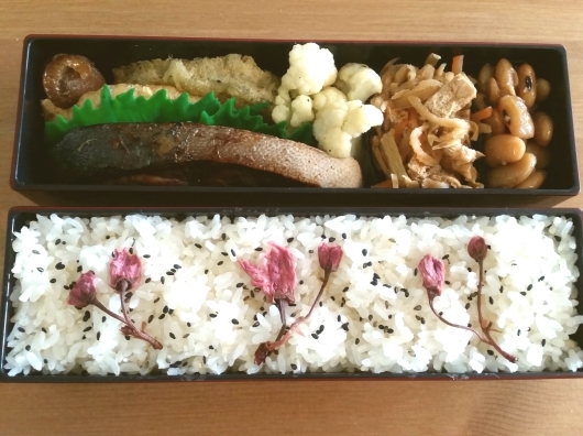 桜の塩漬けご飯弁当と色っぽい太もも 猫のエプロン 桜の塩漬けご飯弁当と色っぽい太もも 猫のエプロン