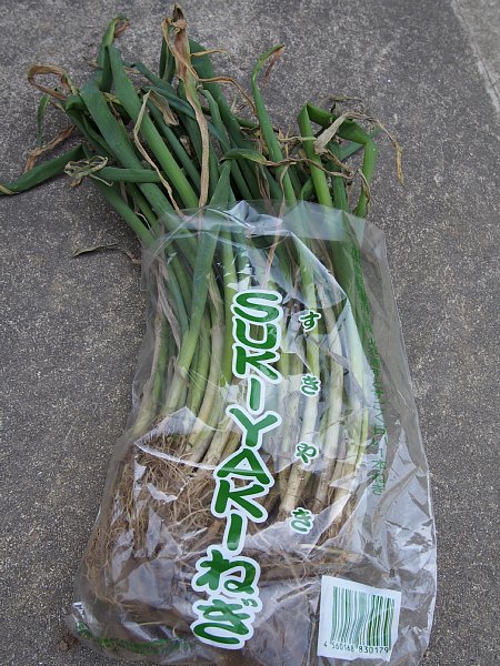 2015年5月15日　夏野菜の苗を買ってきました_b0341140_19234231.jpg