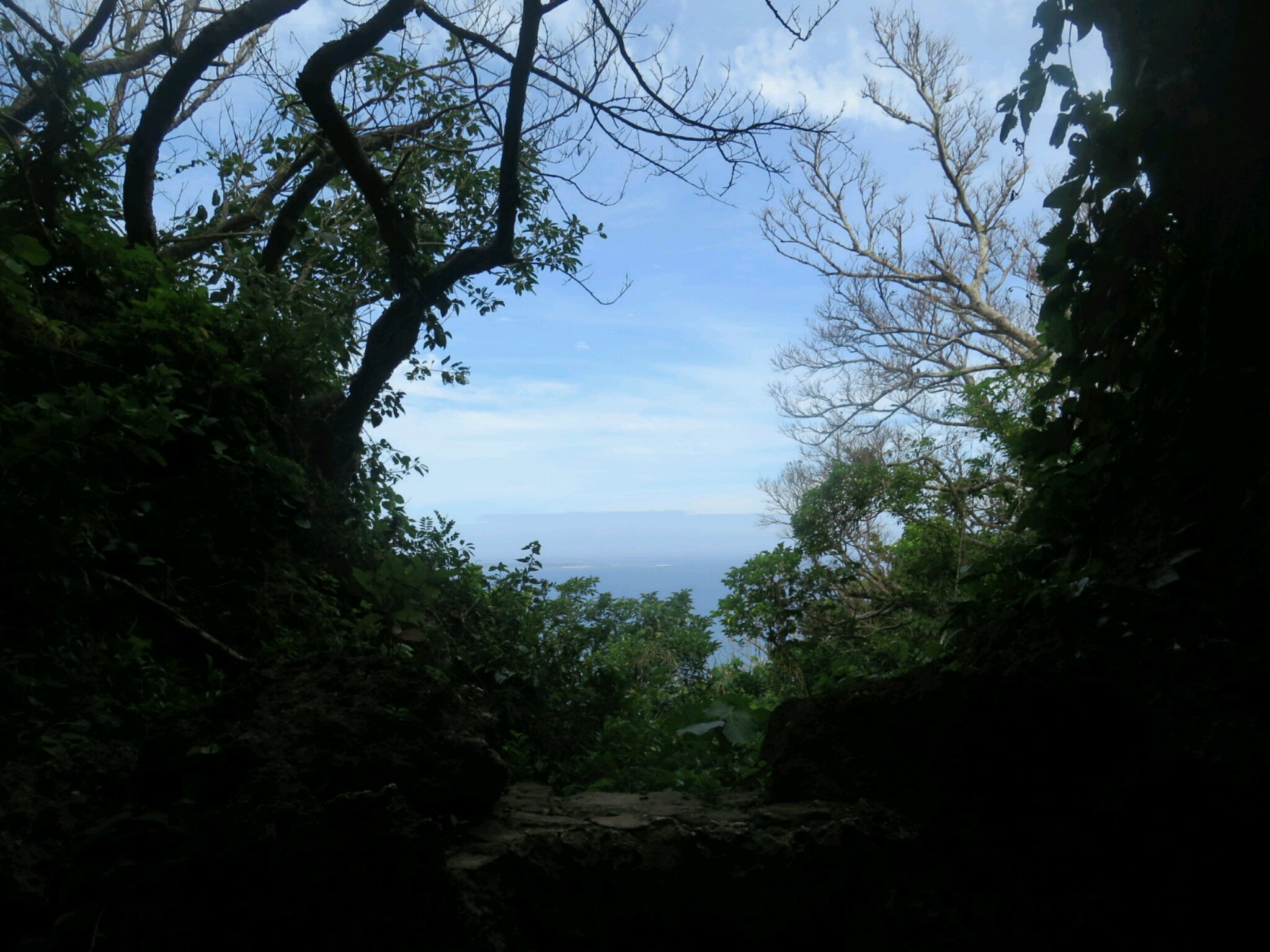 c0292342_19142624.jpg