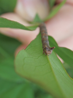 f0104042_21121424.jpg