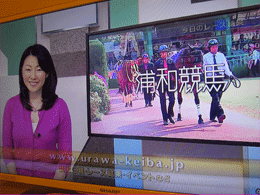 a0019747_3301274.gif
