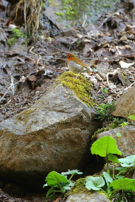 c0212450_17134655.jpg