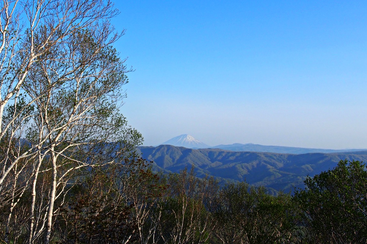 e0105954_1555326.jpg