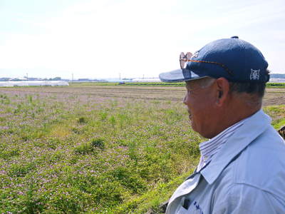 砂田米 れんげを鋤き込み今年も『砂田のれんげ米』で育てます!!_a0254656_20102757.jpg