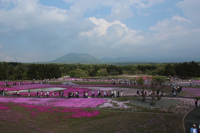 2015.5.10山梨県南都留郡富士河口湖町　富士山_e0239458_22563464.jpg