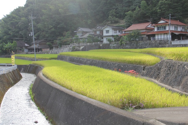 安芸区瀬野4丁目と伏附地区を歩く 2014-15　その1　伏附の棚田_b0095061_17395479.jpg