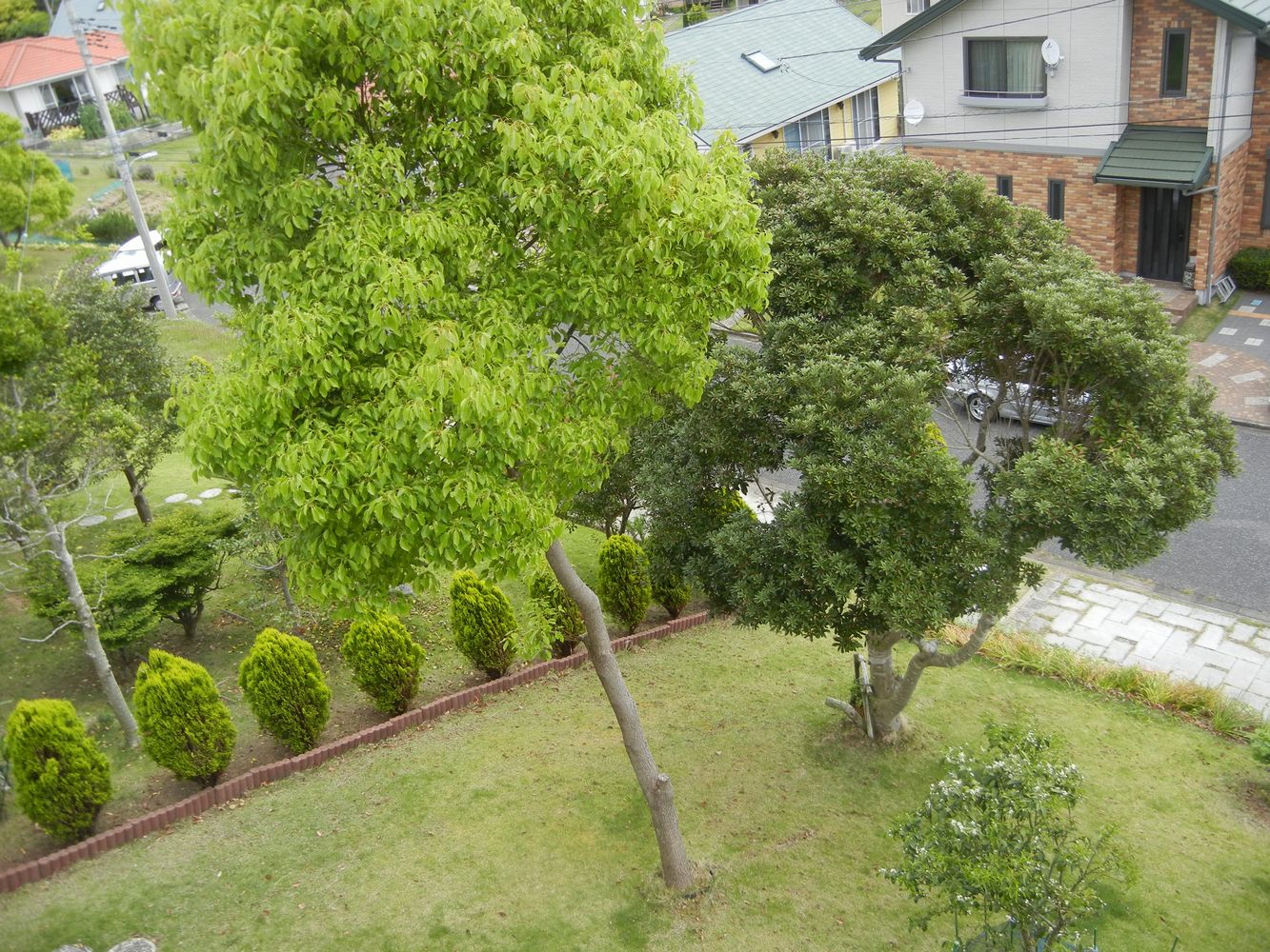 ’15,5,12(火)生きていれば会える!_f0060461_9574829.jpg