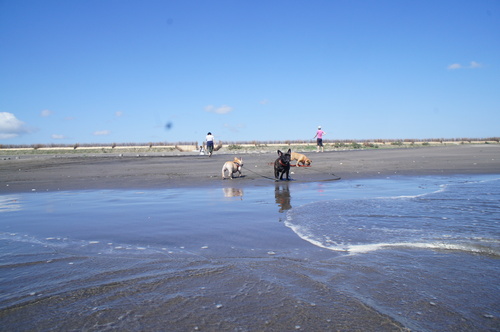 c0298565_90049.jpg