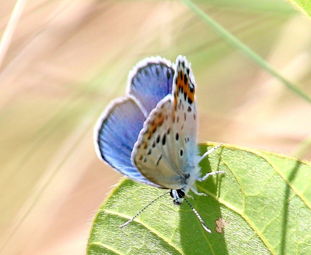 b0320769_07293113.jpg