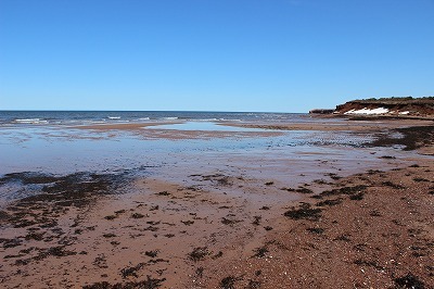 春の海_c0353373_21120225.jpg