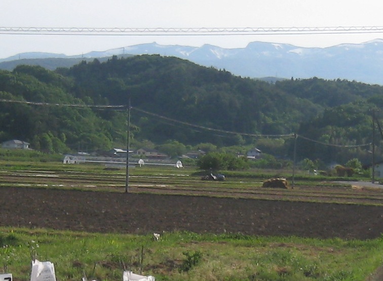 a0087378_15392859.jpg