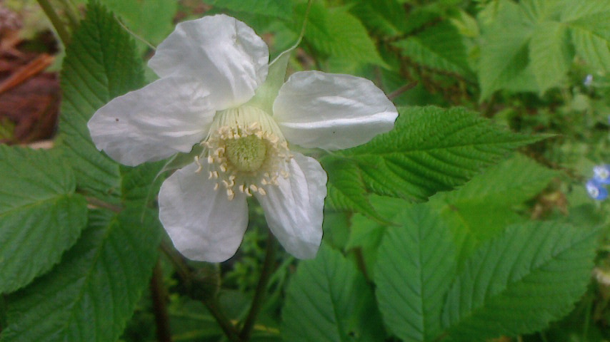 f0215179_95937.jpg