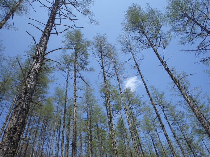 a0094280_15155460.jpg