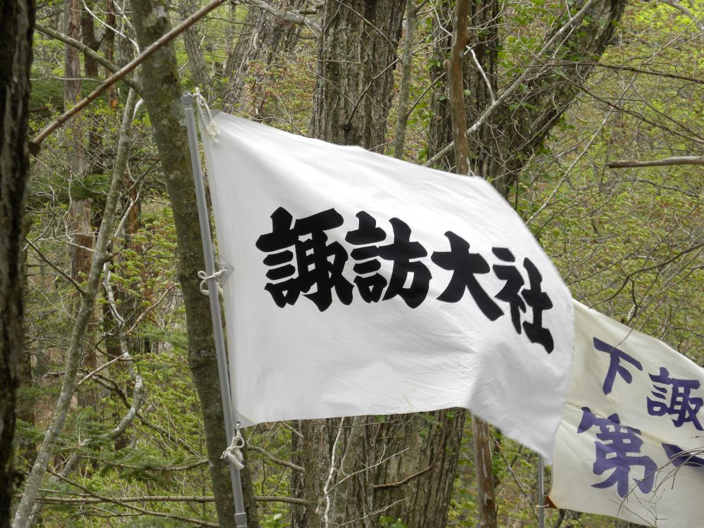 諏訪大社下社 御柱伐採①_b0329588_17260673.jpg