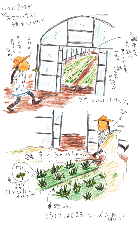 緑色のトリック_f0236291_529443.gif