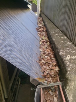板橋区の常盤台で、雨樋掃除_c0223192_17391741.jpg