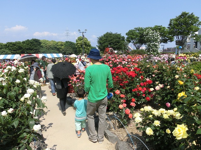 来年の「全国ばらサミット」に向けて盛り上がる「ばら祭り」_f0141310_7363780.jpg