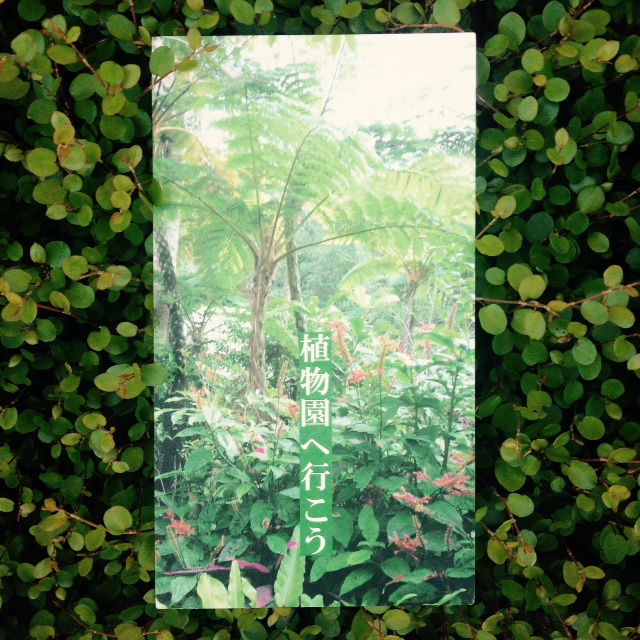 植物園へ行こう_c0200314_1342213.jpg