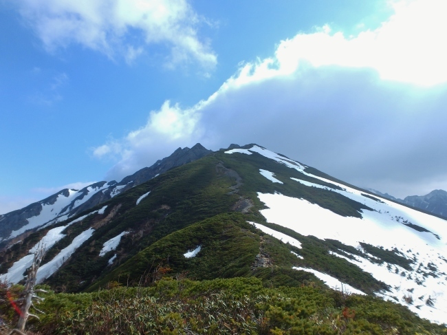 b0291820_20192902.jpg
