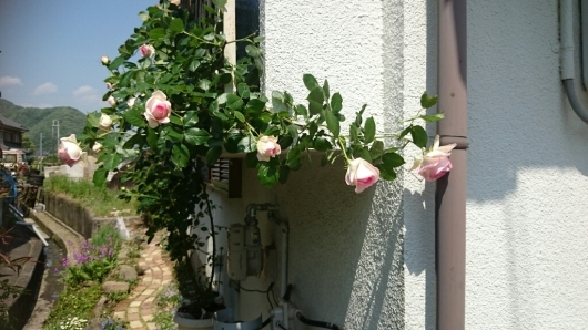 e0263224_22475627.jpg