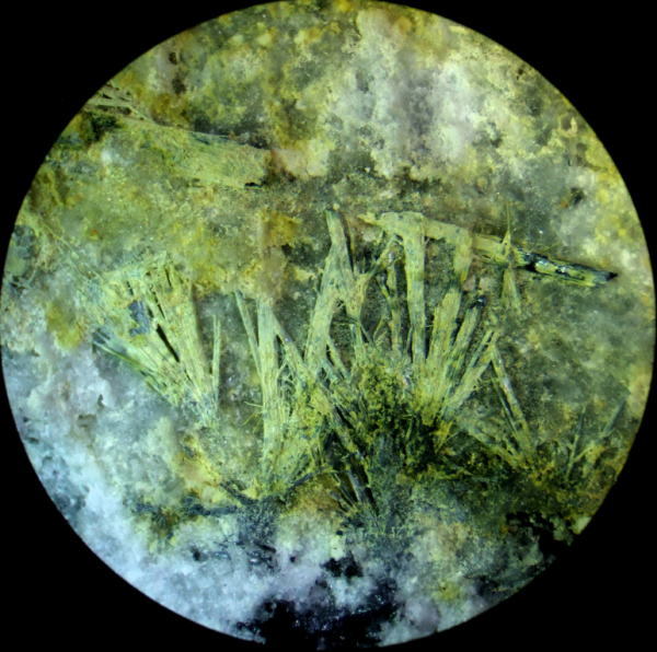 d0045626_21551566.jpg