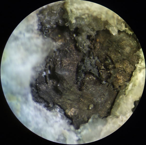 d0045626_22014426.jpg