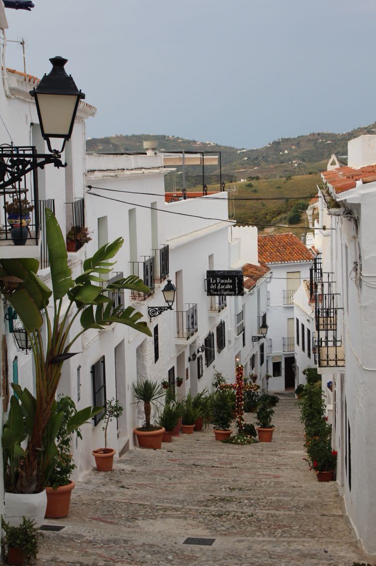 スペイン旅行 10日目 フリヒリアナとマラガ散策 日進月歩ブログ スペイン旅行 10日目 フリヒリアナとマラガ散策 日進月歩ブログ