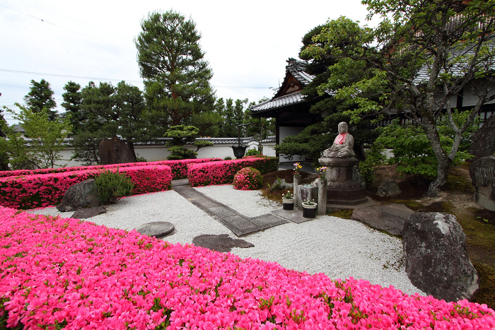 初夏の妙心寺 －慈雲院－_b0169330_7252818.jpg