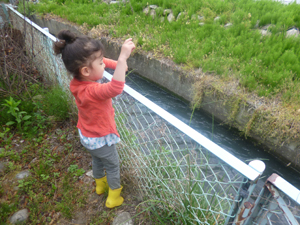 c0343936_23461946.jpg