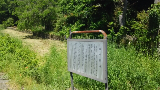 府中用水本流&寺之下親水公園(国立市)(5月12日)_e0213636_2092031.jpg