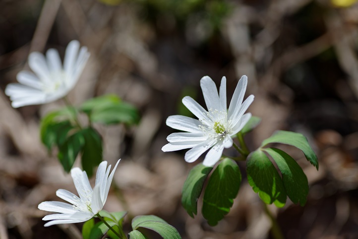 f0274536_02285.jpg