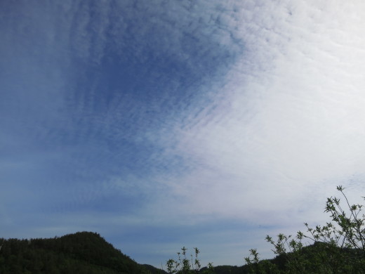 台風一過_b0206037_08201443.jpg