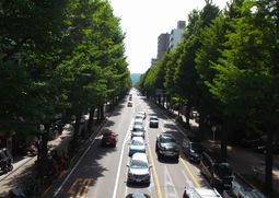 ひとり駅伝・旧甲州街道・７　「鳥沢宿～八王子宿」　思わぬ落とし穴_f0211837_2015507.jpg