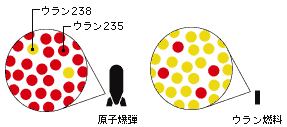 b0217643_22113412.gif